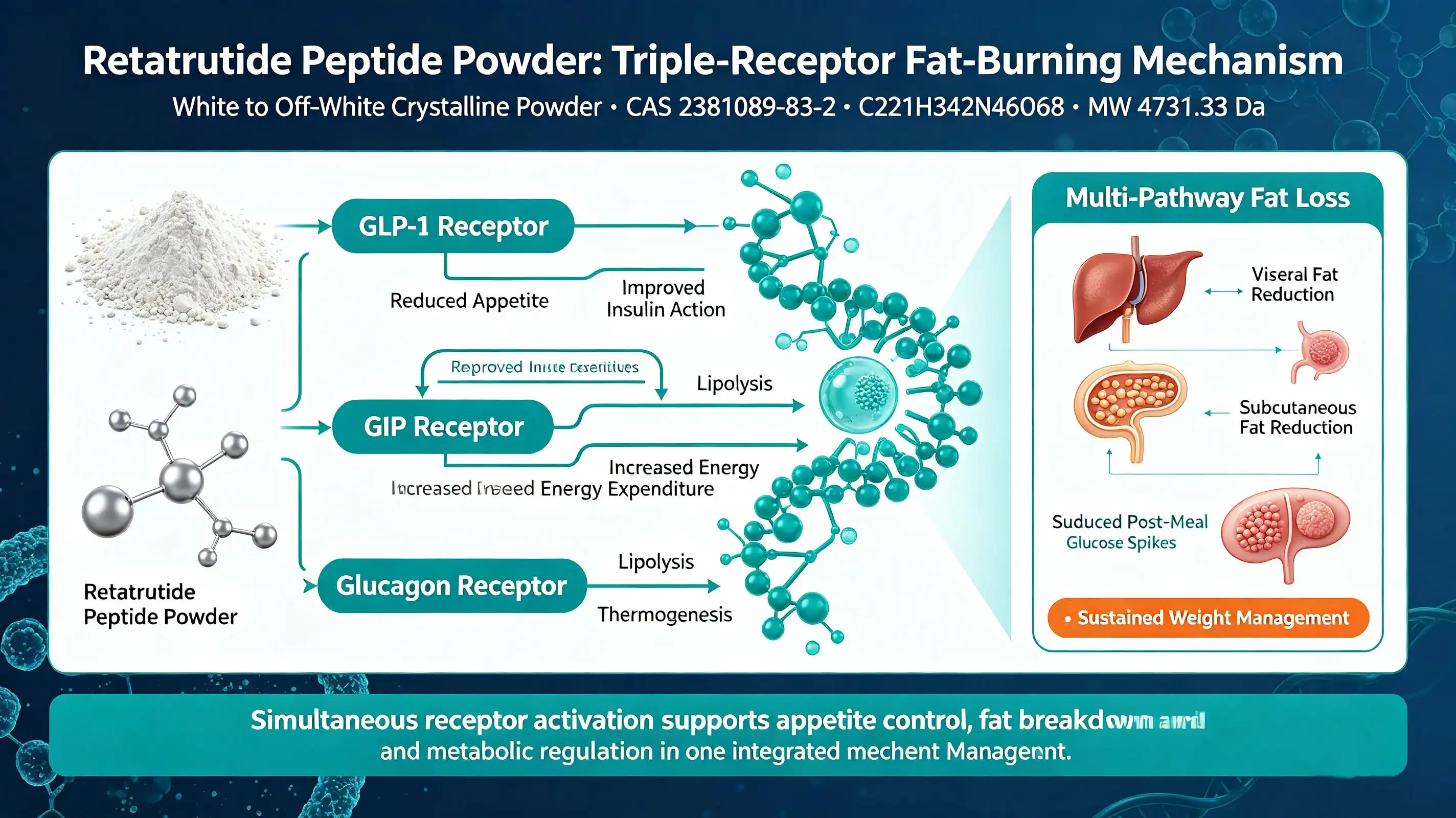 Does retatrutide burn fat Does retatrutide burn fat